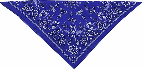 Bandana en coton ZAN HEADGEAR