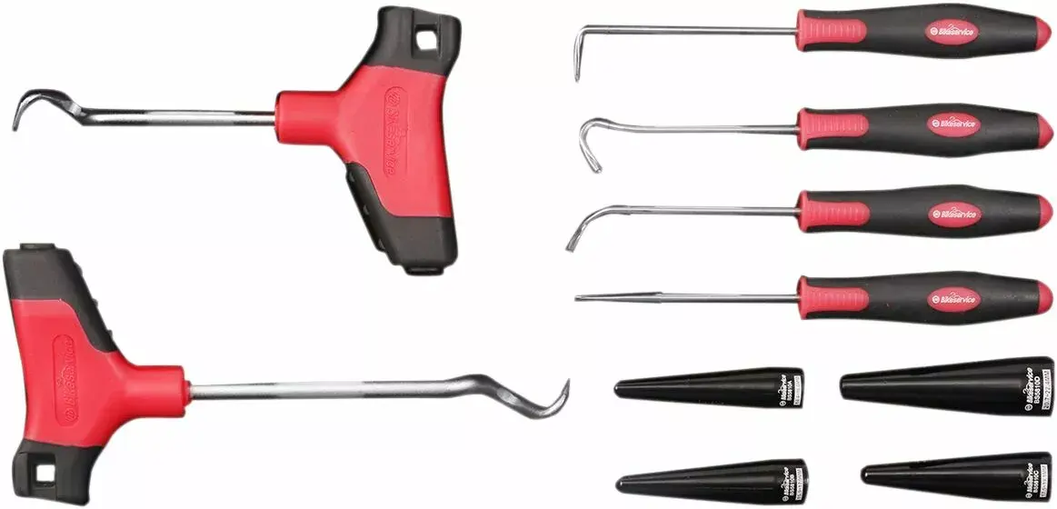 Dichtungs- und O-Ring-Satz Bikeservice