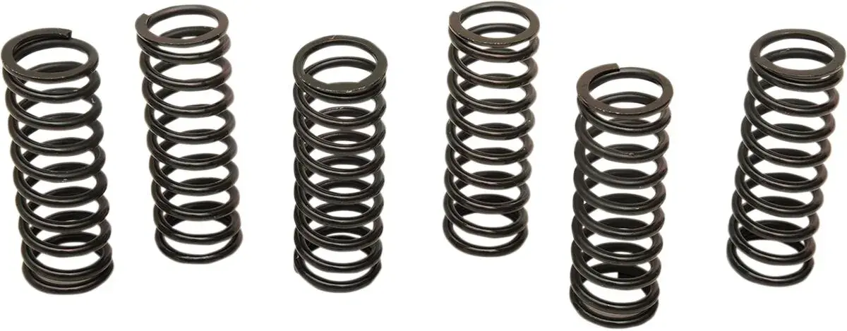Kupplungsfeder-Set BARNETT