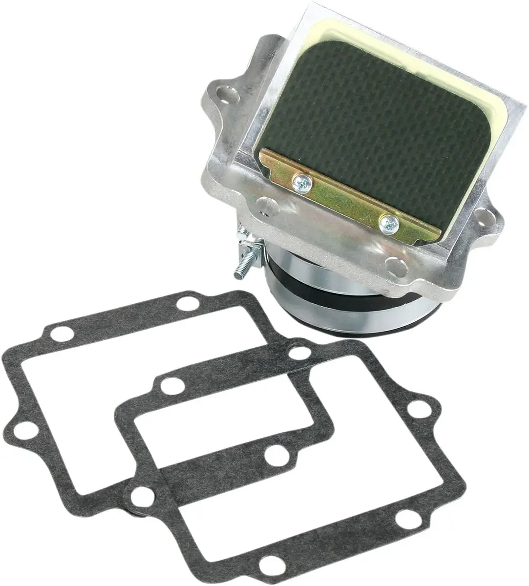 Ensemble cage à clapets Rad Valve BOYESEN
