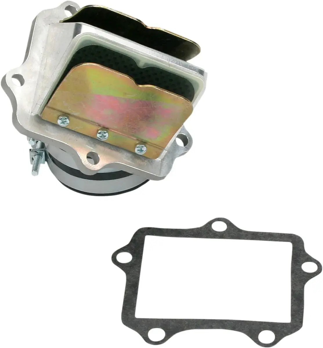 Ensemble cage à clapets Rad Valve BOYESEN