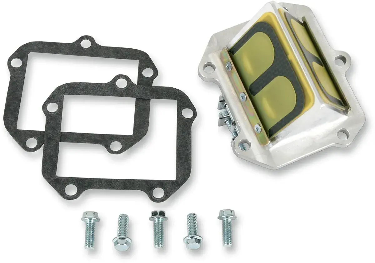 Ensemble cage à clapets Rad Valve Boyesen