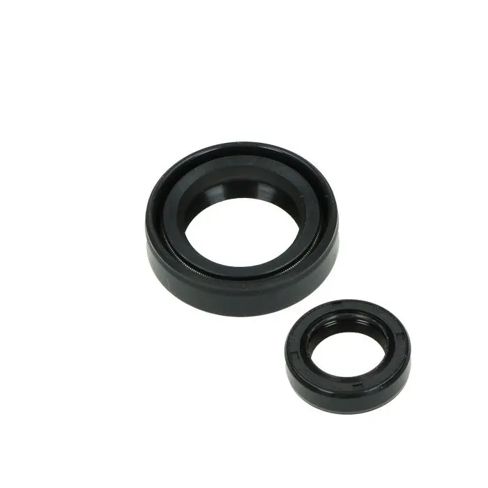 حلقة مانع تسرب Bac 16x25x7