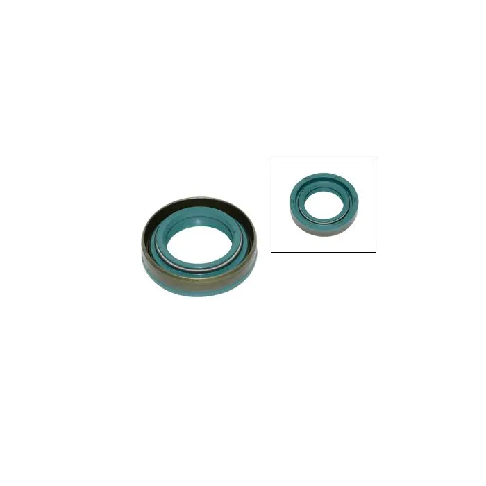 Joint spi Bac double ressort 17x28x6.5