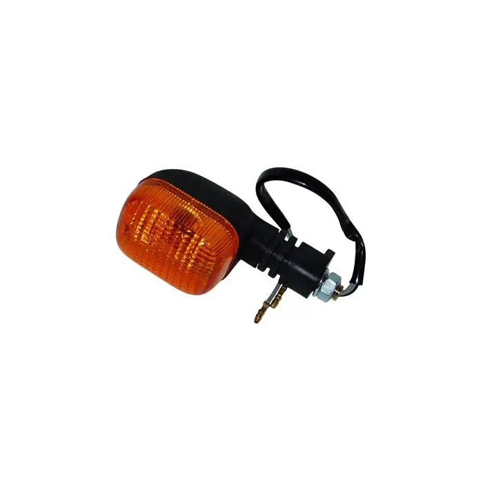 Clignotant DMP gauche luxe EX