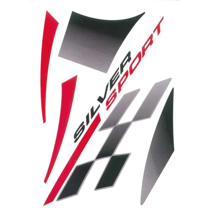 スポーツシルバーデカールキット Viva — 第2ビュー