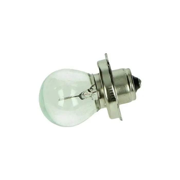 電球 Flosser 12V 25W P26S