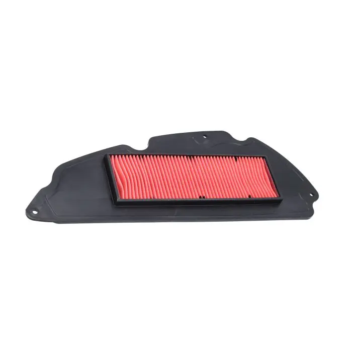 Élément de filtre à air Malossi Forza 300, SH 300 1418501B