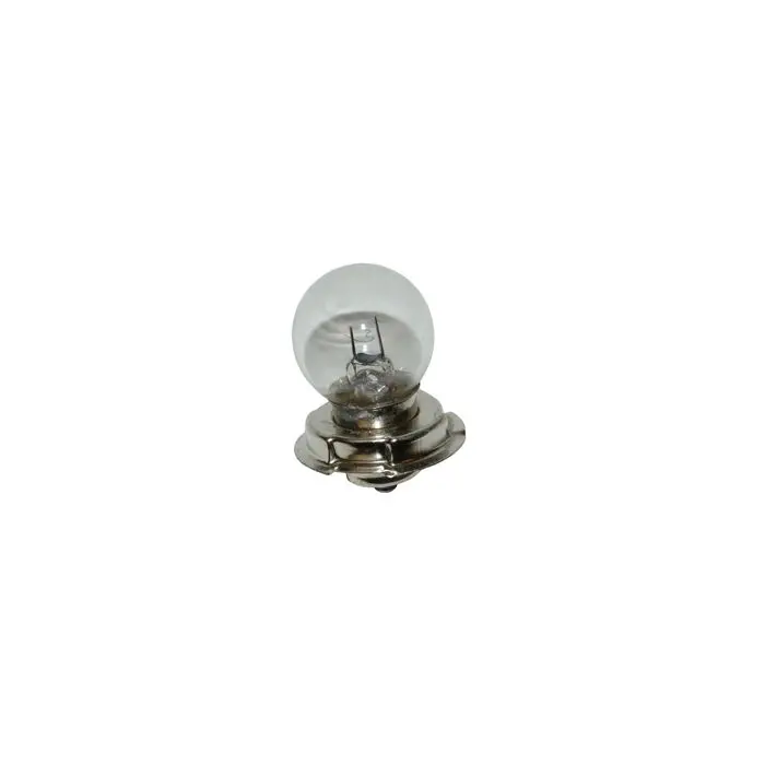 Lampe 12V 15W P26S + Halterung