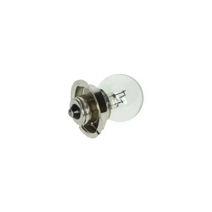 Lampe 12V 25W P26S + Halterung