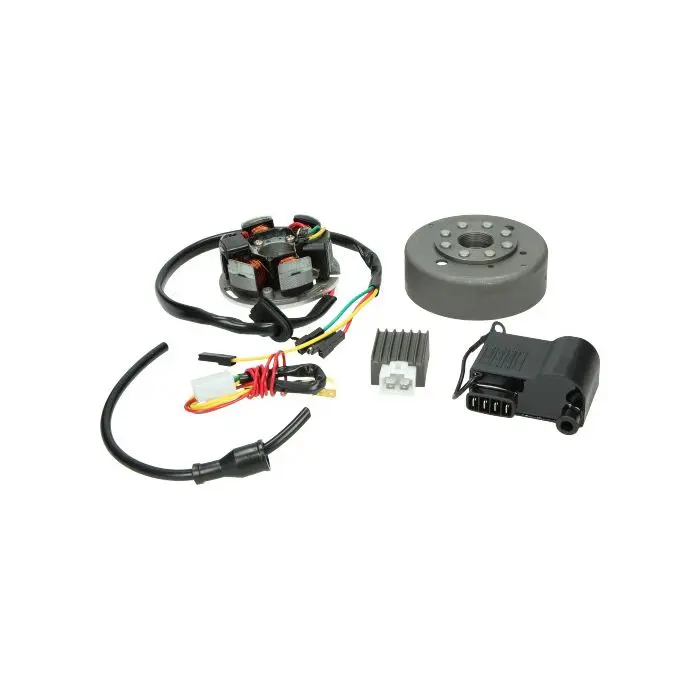 Komplette elektronische Zündanlage DMP Kreidler Sachs Zündapp