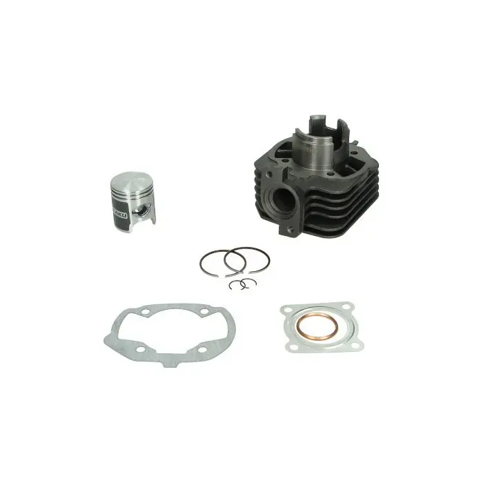 Naraku Zylinder aus Gusseisen 50cc für Ludix AC und Peugeot NK101.51