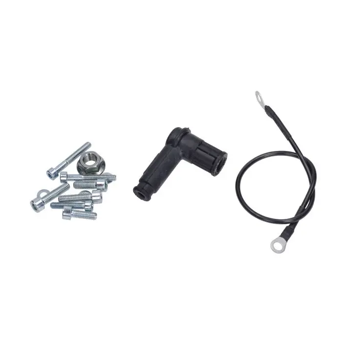 Allumage Polini rotor intérieur Minarelli HOR PVL 171.0553