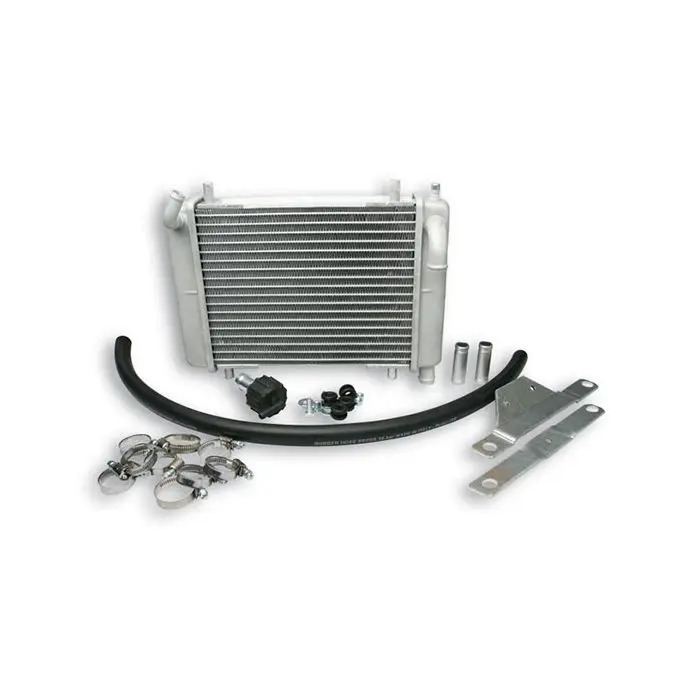 مشعاع Malossi لـ Zip SP <2000 7115506