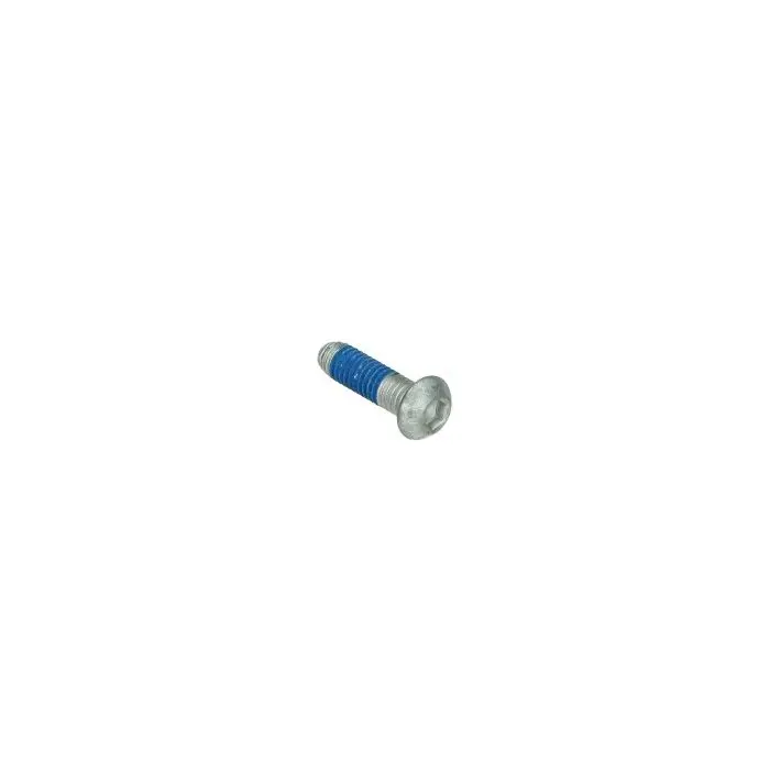 Piaggio অরিজিনাল রাউন্ড হেড ব্রেক ডিস্ক বল্ট m6x20mm carnaby, derbi, lx, Runner, zip sp, beverly, fly, gts all mod., mp3, zip 4t, zip2000 667152