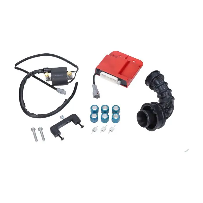 Ecu Naraku euro-4 rapide primavera 4t [euro4], sprint 4t-3v, zip 4t (euro4) nk390.55 bgm39055