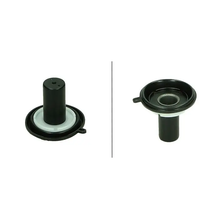 Papillon membrane cm160802 sco piaggio 4t-4v