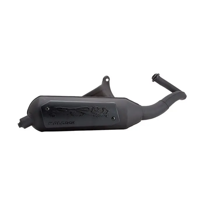 Auspuff Malossi LC Lion Sauvage Scooter Piaggio 2T 3216580