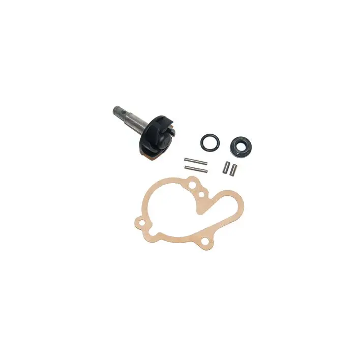 Kit de révision Buzzetti pompe à eau + pagaie minarelli am6