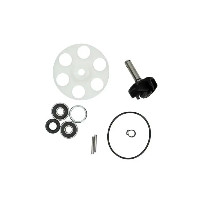 DMP水泵+水泵叶轮+轴承 维修套件 A级品质 适用于Minarelli水平发动机