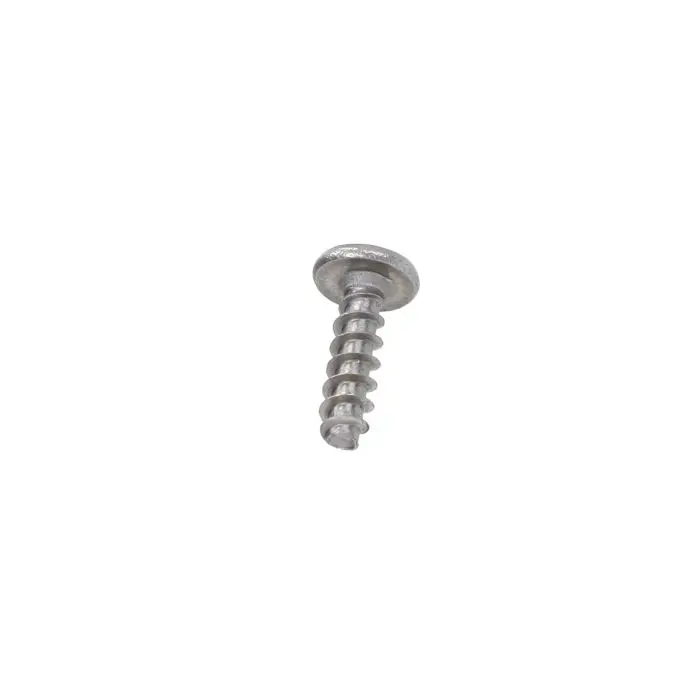 Aprilia roestvrijstalen bout 3,9x14mm AP8150413