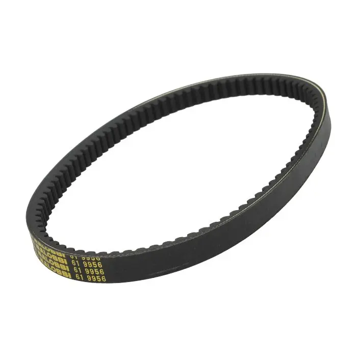 مالوسی بیلٹ 22.2x11x888 mm برگمین 200cc 250cc