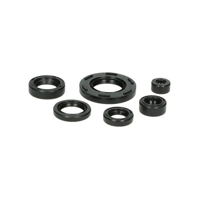 Wellendichtring DMP tsx