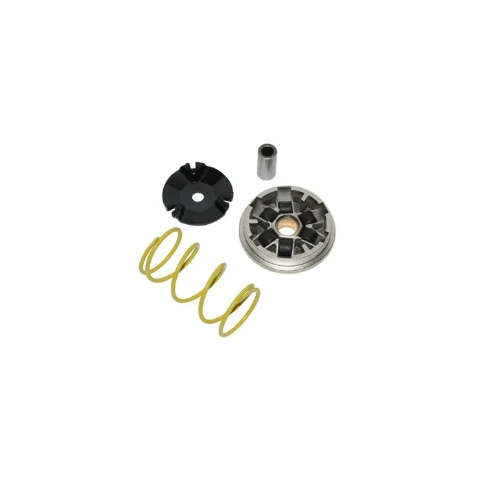 Variateur complet DMP Élyseo, Élystar, Jet Force, Looxor, Ludix, Speedfight, Speedfight 3, Viva, Viva va2008 2T