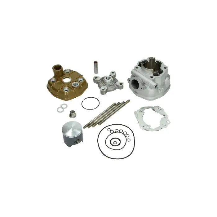 2006 کے پروفیشنل ریسنگ 50 mm Derbi, Gilera RCR, GPR2004, Senda, Zulu کے لیے Metrakit PRO-4 ہیڈ والا سلنڈر p805d1656
