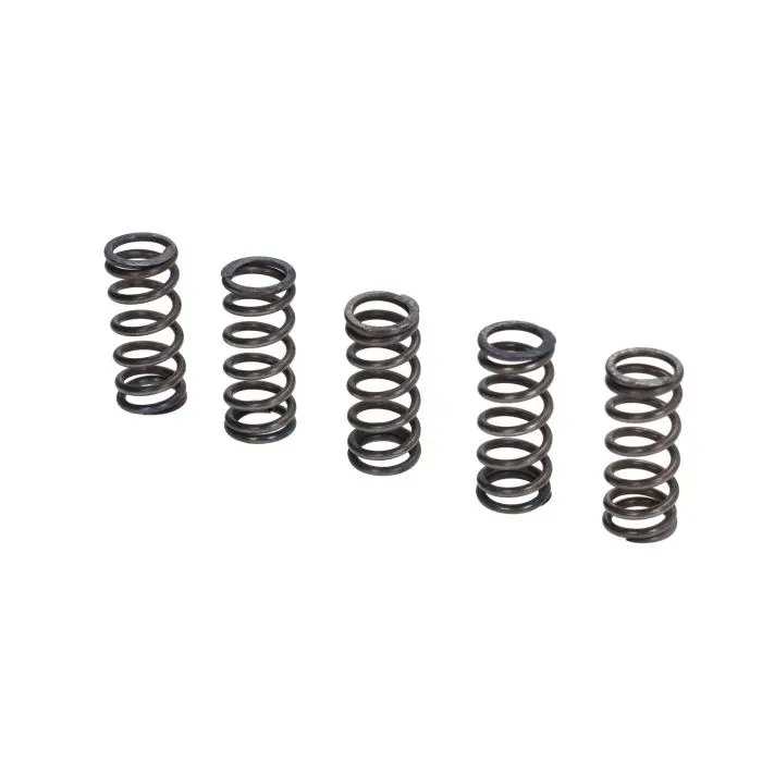 クラッチスプリング Italkit 5個セット Derbi Senda GPR VM.12.4
