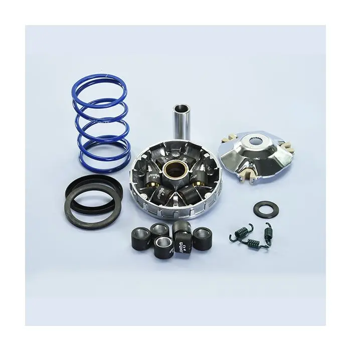 폴리니 유로-2/4/5 고속 하이 플로우 바리에이터 세트 zip 4t, sprint, primavera 4t iget, sco piaggio 4t-4v, sco piaggio 4t-3v I-get, sco piaggio 4t-2v 241.737