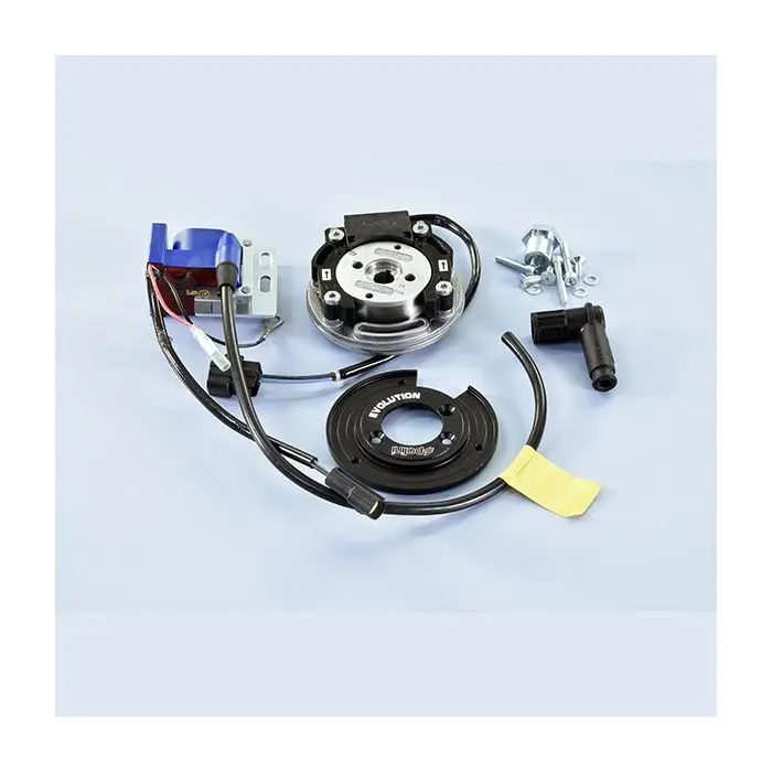 Allumage Polini avec rotor intérieur Piaggio 2T PVL 171.0552