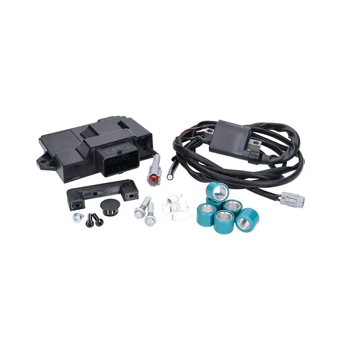 Naraku 유로-5 ECU 튜닝 키트 Liberty, Primavera, Sprint, Zip 4T NK390.65