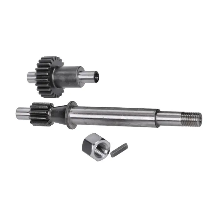 Kit de transmission Polini primaire 11-23t bravo, ciao, citta, grillo, si 202.1425