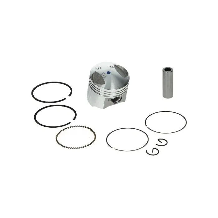 ओरिजिनल पिस्टन पिकेट 10 37 mm Mio