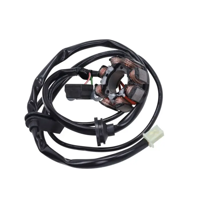 সম্পূর্ণ ইগনিশন Polini রেস h2o Derbi NRG Runner SR50 2T Zip 2T 171.0570