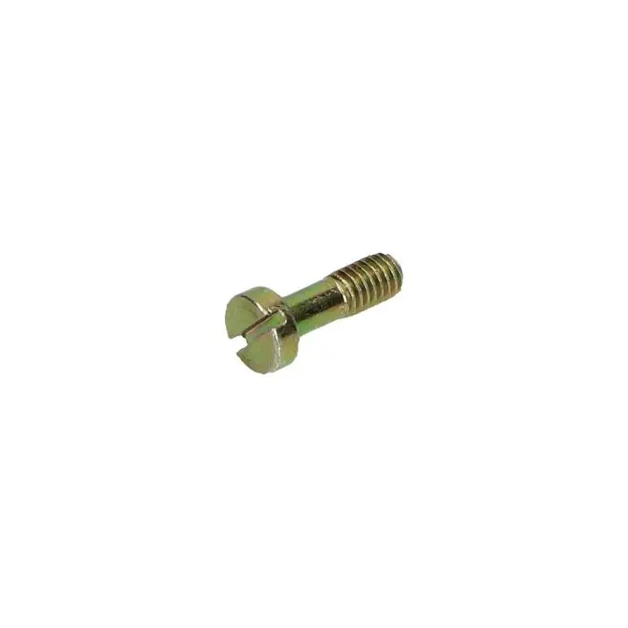 Dellorto Drosselklappenschraube PHVA 17,5 mm 12110.36