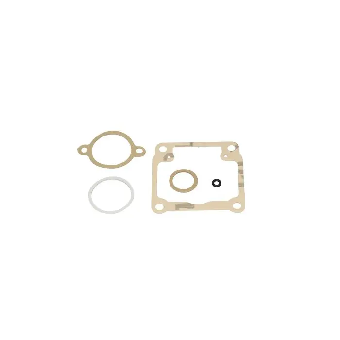 Dellorto ujuvkausiga tihendikomplekt PHBG 19,5 mm 52526.77