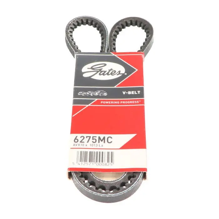 Courroie 1013 mm Ciao Citta