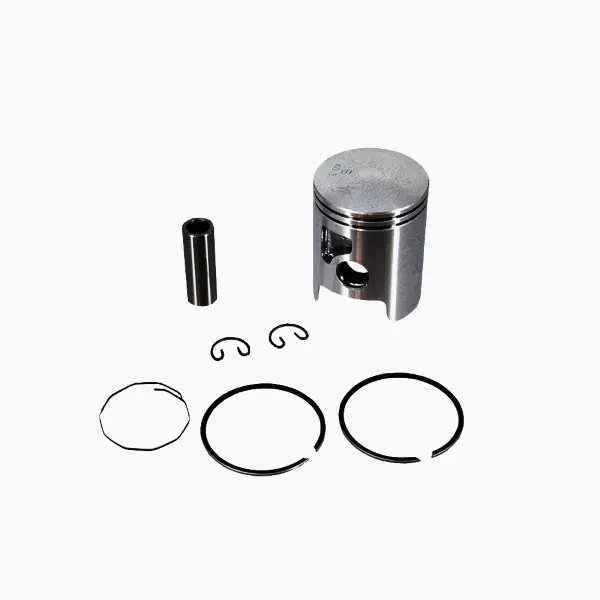Piston EVOK complet Am6 D.40.3 Sel.E