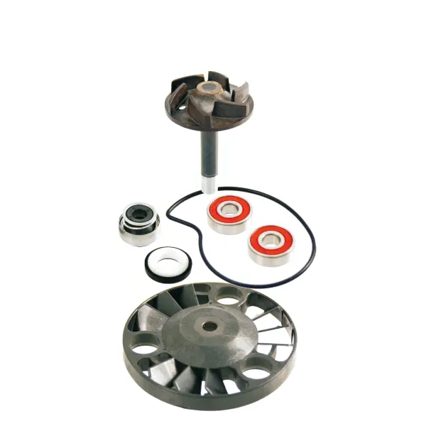 Kit de réparation pompe à eau RMS Piaggio Beverly 125-200 cc/Hexagon GTX 125-180 cc