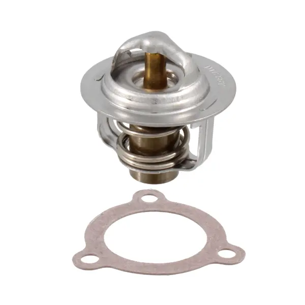 Termostat RMS Piaggio Porter 1.0