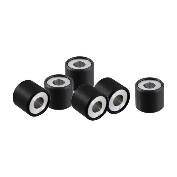 Komplet valjaka RMS 19x17 mm 8,6 gr