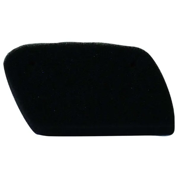 Champion Luftfilter Y318