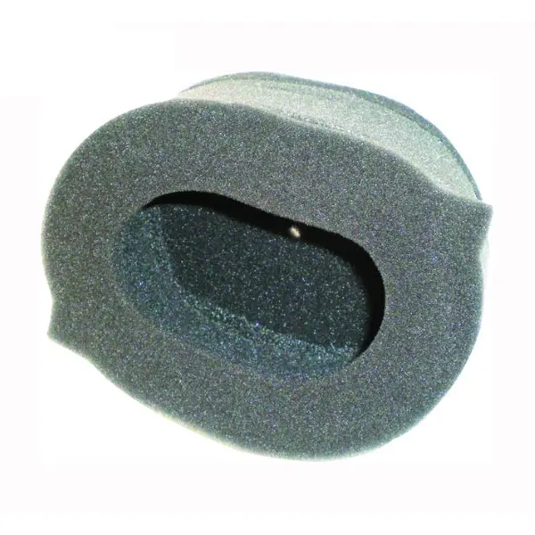 Champion Luftfilter Y304