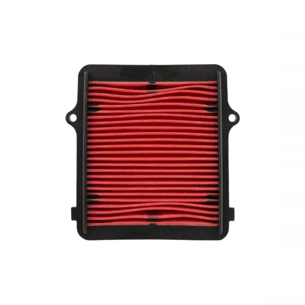 Champion Luftfilter CAF1609