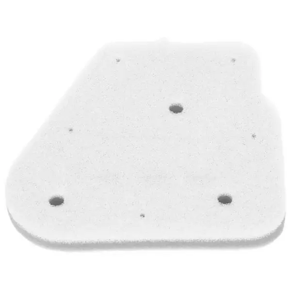 Champion Luftfilter CAF3001DS