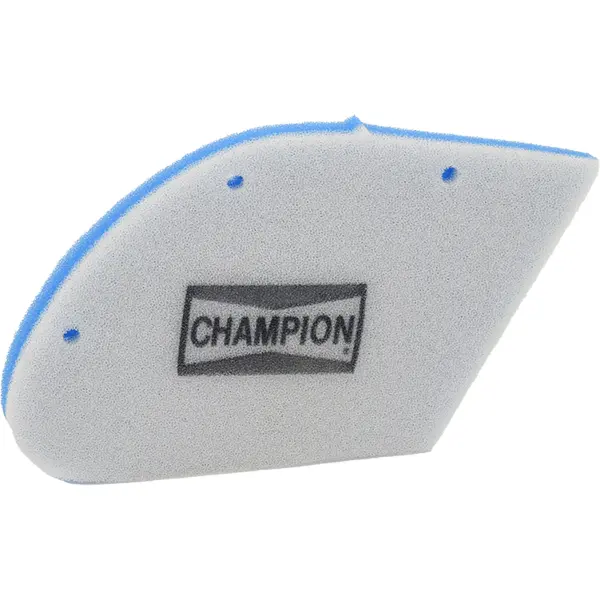 مرشح هواء Champion من النوع الأصلي HFA5009DS