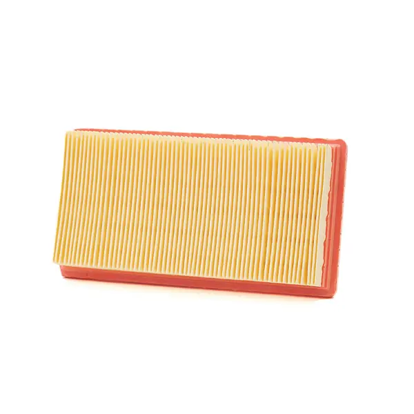 Champion Luftfilter CAF9000