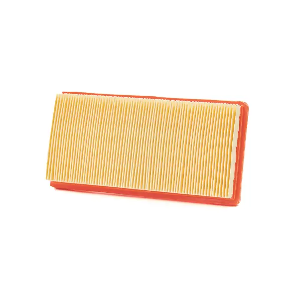 Champion Luftfilter CAF9005